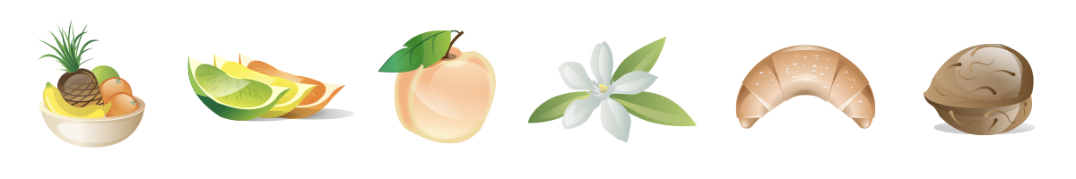 Vůně a chuť vína Champagne Cuvee Gregory Brut z vinařství Michel Mailliard